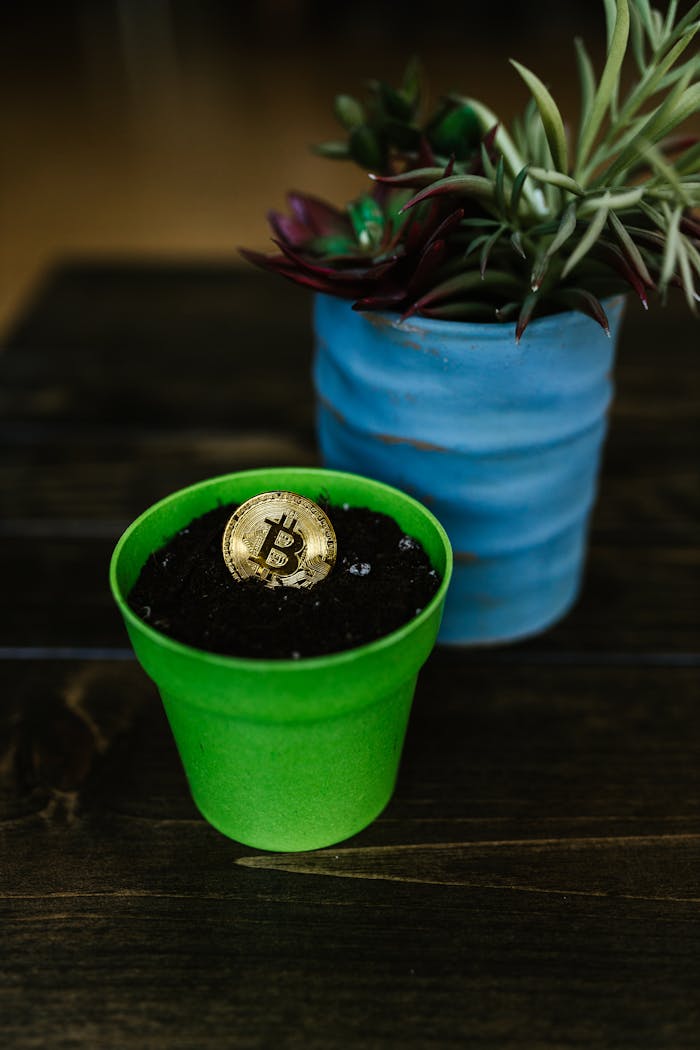 A Bitcoin coin partially buried in soil within a green pot next to a potted plant on a wooden table.